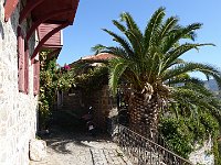 foto 238